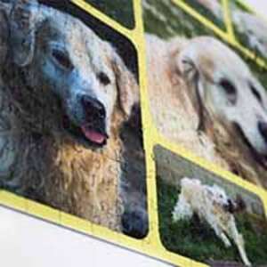 Foto koláž Puzzle 500  - 477.00 Kč